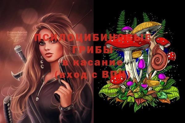 Альфа ПВП Горняк