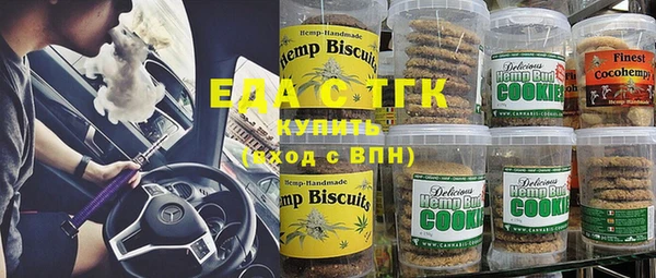 Альфа ПВП Горняк
