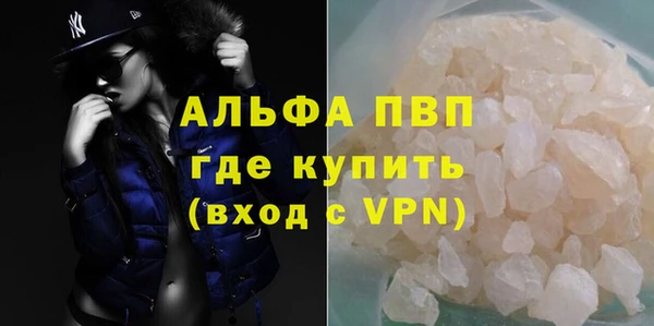 Альфа ПВП Горняк