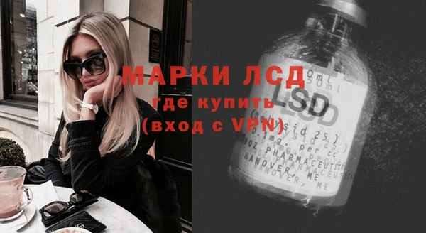 Альфа ПВП Горняк
