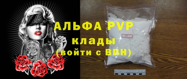 Альфа ПВП Горняк