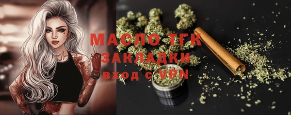 Альфа ПВП Горняк