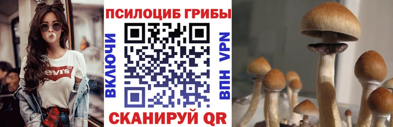 Псилоцибиновые грибы ЛСД  Купить где  Кизел 