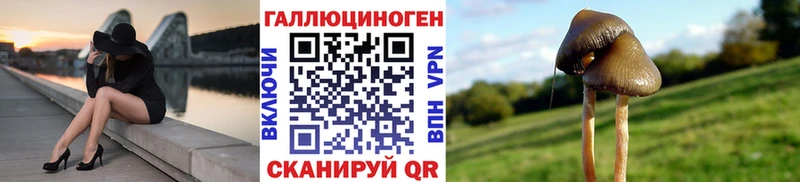 Псилоцибиновые грибы ЛСД Кизел